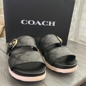 Coach Black Sandals with Gold Buckle